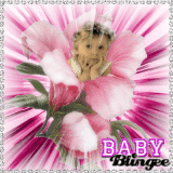 bébé