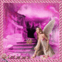 Pink Rose Fairy