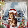Christmas-Cats