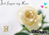 heba55