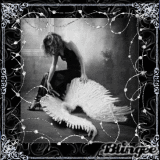Broken Wings