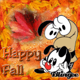 Autumny Yakko!