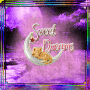 Sweet Dreams Sweet Dreams