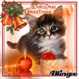 A Purrr-fectly Fun Time For Me