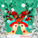 Reindeer Christmas Greeting! Reindeer Christmas Greeting!