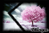 arbol gae