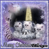 Merry Christmas! 