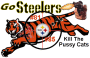 Steelers Bengals