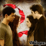 Team Edward vs Team Jacob