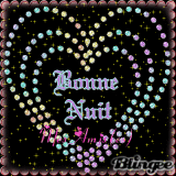 bonne nuit gros bisous 