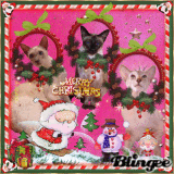 For my dear friend acamar(Sonja) "Merry Christmas"