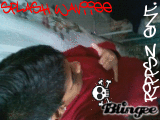 rippsz ent.