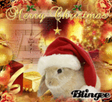 MERRY CHRISTAMS!!