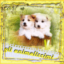 GLI ANIMALISSIMI