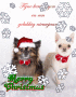 kerst