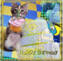 ←←Happy Birthday To BB→→ ←←Happy Birthday To BB→→