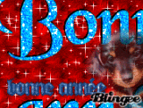 Bonne annee