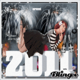 FELIZ ANO NUEVO 2011 