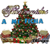 Bienvenidos a mi ficha