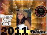 Happy New Year 2011
