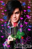 Adam Lambert ~ All you feel is Love