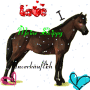 Winpay