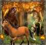 magical forest grace magical forest grace