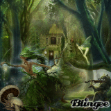 Foresta magica