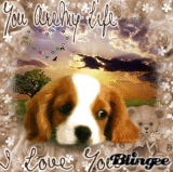 cute st. bernard puppy