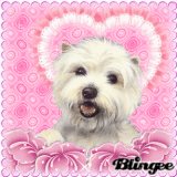 Puppy Love