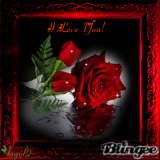 I Love You Roses