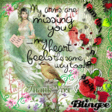 Thank You For The Garden