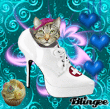 Kitty In The Nurses Shoe