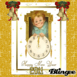 Happy New Year 2011