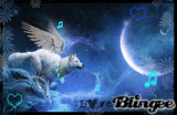 In my Dream