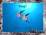 "Fische"