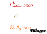 pontiac 2000 & Shelby3000