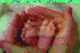baby