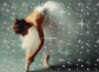 ballerina glitterosa