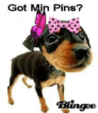 Got Min Pins?