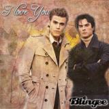 Stefan e Damon Salvatore ^^