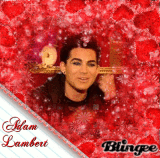 α∂αм ℓαмвєят ιη яє∂ ((яє∂ cαяρєт)) ησ cσριαя вℓιηgєє σяιgιηαℓ ву: ткмנυѕтιηвιєвєя