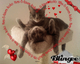 BE MY VALENTINE .. SOIS MON VALENTIN