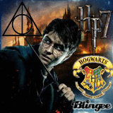Harry potter & The Deathly Hallows