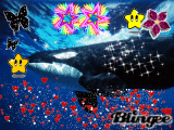 big whale