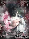 I love you Lucky