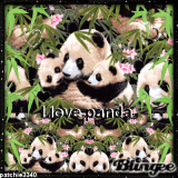 TROPHEE CHALLENGE PANDA