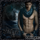 Stefan Salvatore Book