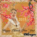 Happy chinese new year
