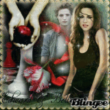 The twilight Saga  - By clh159